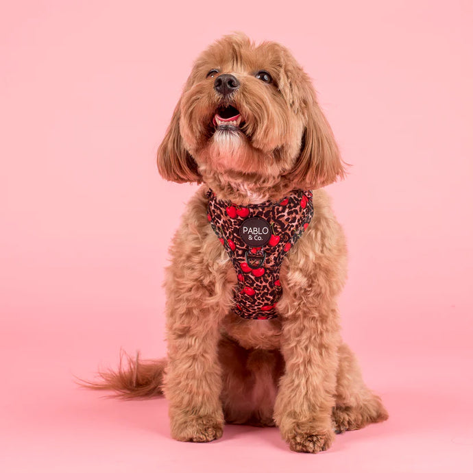 Leopard Cherries Adjustable Harness Pablo & Co