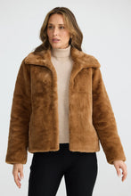 Load image into Gallery viewer, Steinway Jacket, Nut