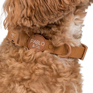 Pablo & Co - Waterproof Collar, Fudge