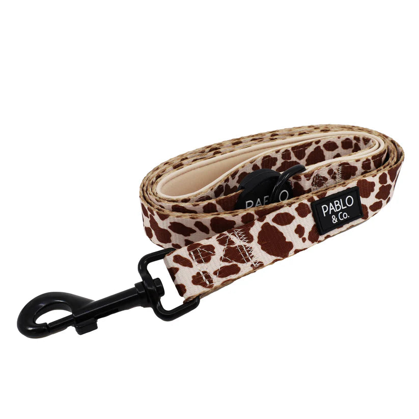 Rodeo dog leash
