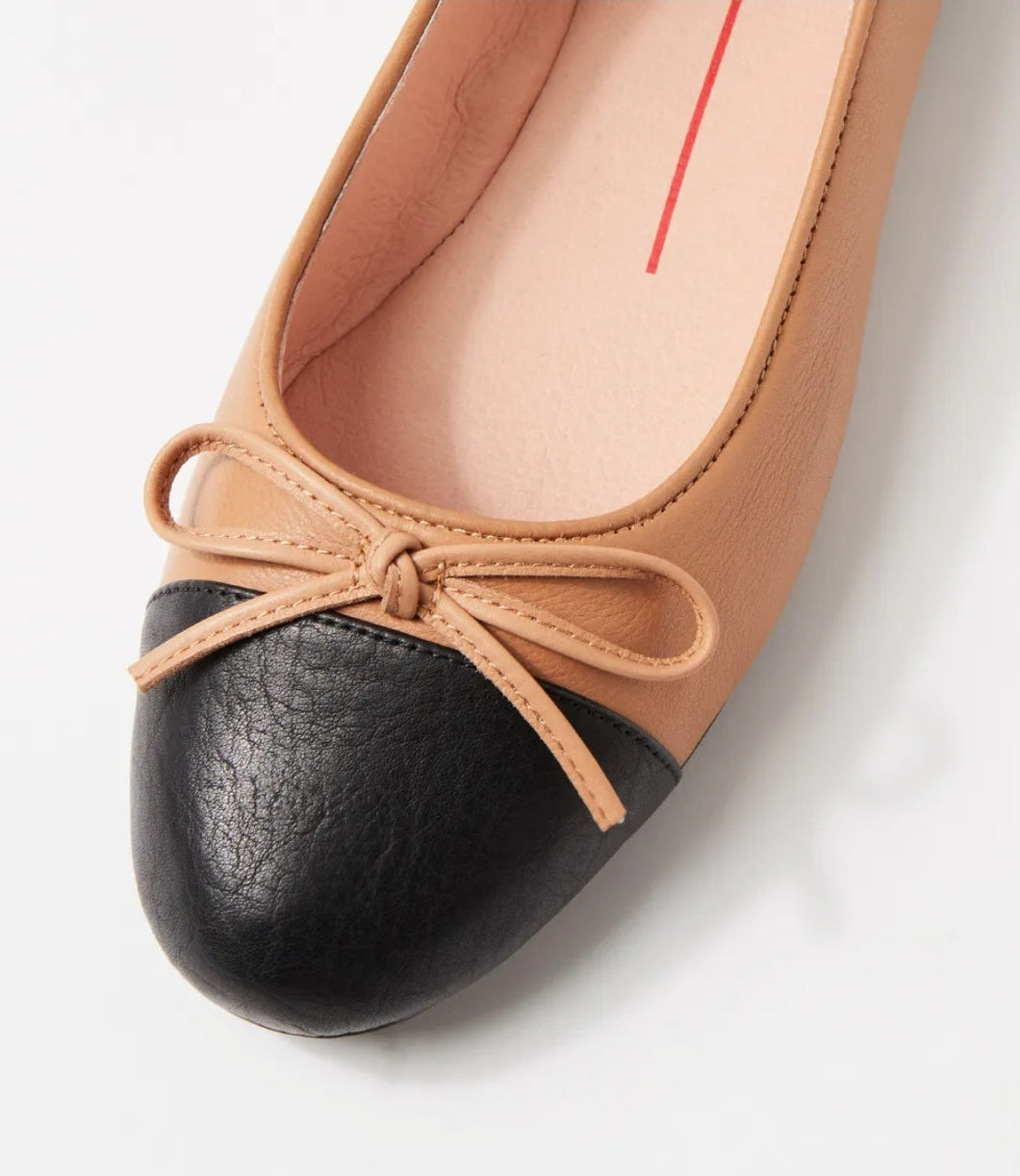 Mollini - Ballet, Black/Tan